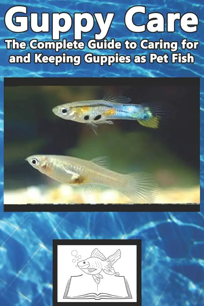 Comprehensive Guppy Care Guide for Beginner Fish Keepers